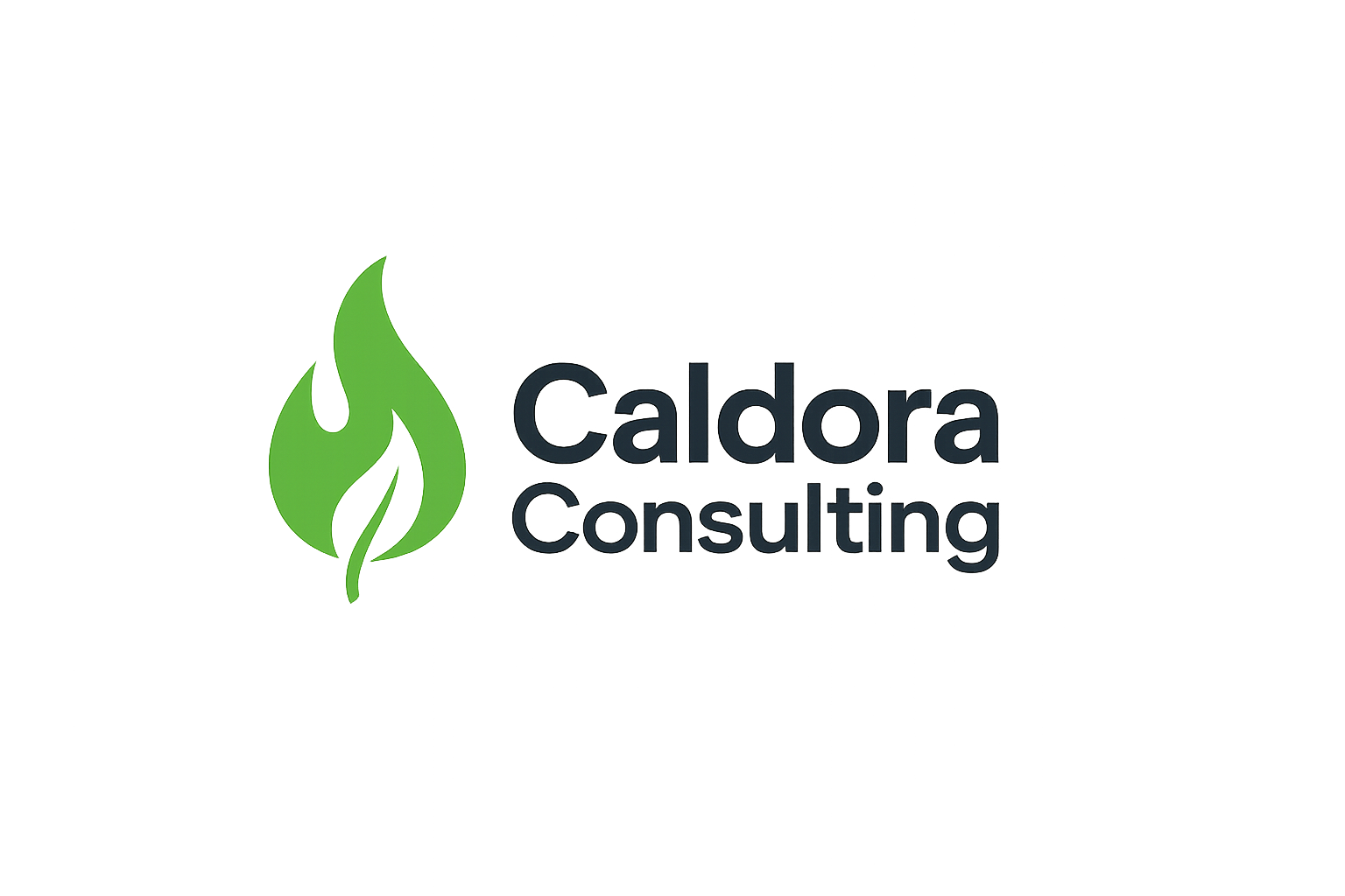Caldora Consulting